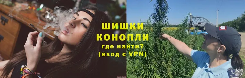 Бошки Шишки план  Черногорск 